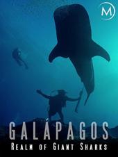 Ver Pelicula Galápagos: el reino de los tiburones gigantes Online