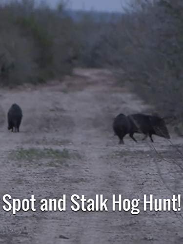 Pelicula Spot and Stalk Hog Hunt! Online