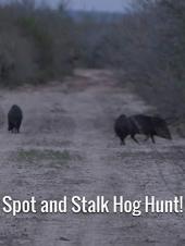 Ver Pelicula Spot and Stalk Hog Hunt! Online