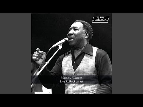 They Call Me Muddy Waters (live at Westfalenhalle Dortmund) (Germany) (, December 10, 1978)