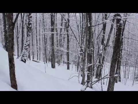 Snow Falling, 5 hrs Relaxing Music