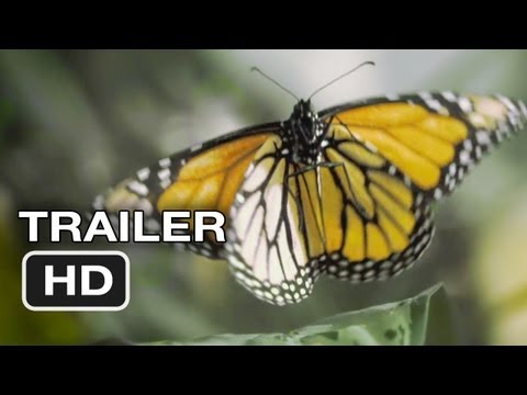 Flight of the Butterflies Official Trailer #1 (2012) - IMAX 3D Movie HD