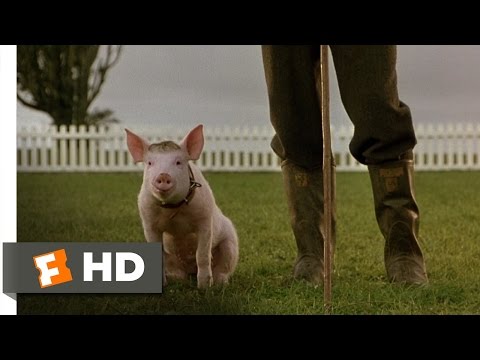 That'll Do Pig - Babe (9/9) Movie CLIP (1995) HD
