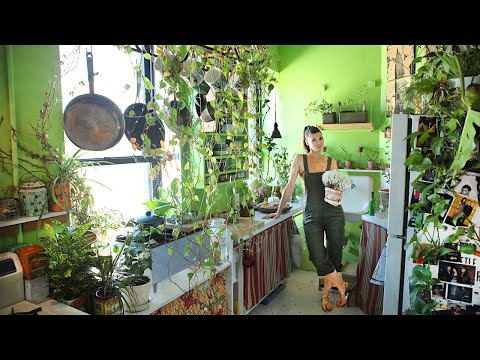 Growing A Jungle In My New York Apartment