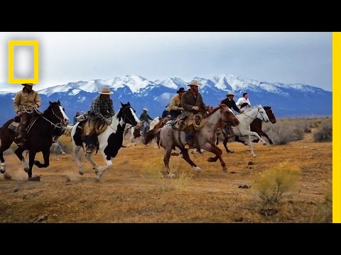 Chase a Wild Buffalo Stampede With These Heroic Cowboys | Short Film Showcase