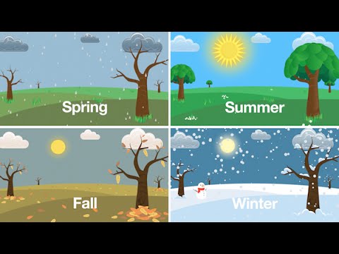 Seasons Song (Learn the Seasons of the Year for Kids)
