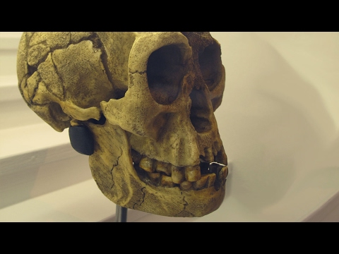 Great Beasts of Legend: The Hobbits of Flores Island:  Myth, Magic, Majesty of Homo floresiensis