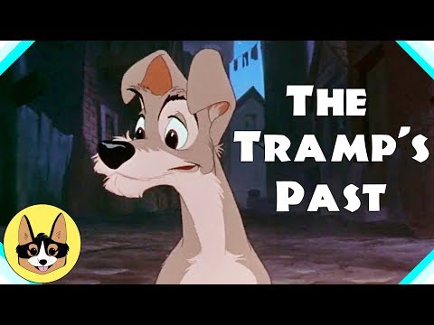 Lady & the Tramp Theory - Darling's First Name | Tramp's Past (plus check out PAL!)