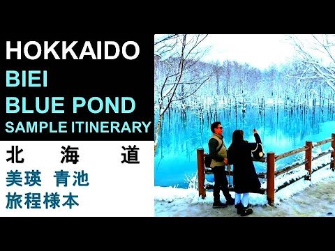 HOKKAIDO X - BIEI- BLUE POND - SAMPLE ITINERARY / 北海道 X - 美瑛 青池 白雪冬季 旅程様本