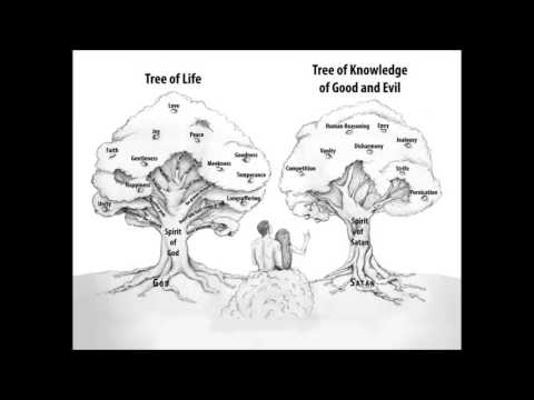 Tree of Life and Tree of knowledge of good and evil