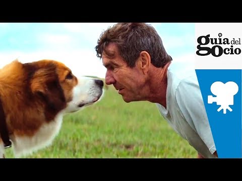 Tu mejor amigo ( A Dog's Purpose ) - Trailer español