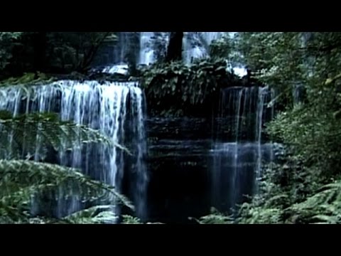 Rainforest Impressions: Tranquil World - Relaxation with Music & Nature (Trailer)