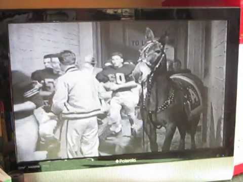 Francis The Talking Mule Collection VHS Promo #2