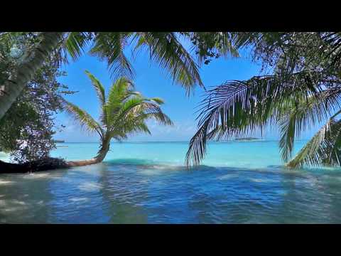 🎧 Ocean Waves On Tropical Island (Maldives) Ambience Sound, Paradise Beach Sounds For Relaxation