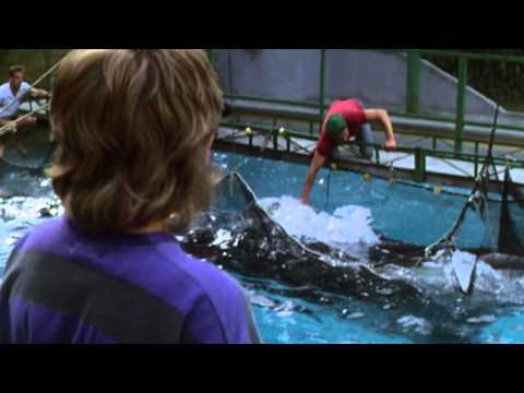 Free Willy - Trailer