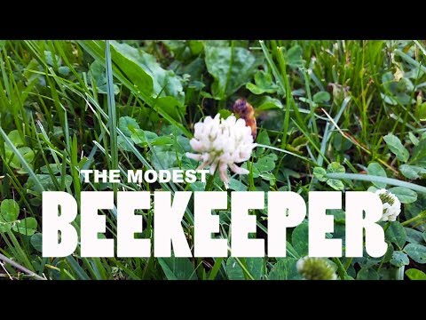 The Modest Beekeeper - A Documentary
