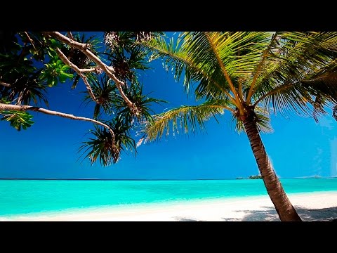 Calming Music - HD Beach Relaxation