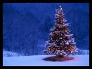 Foto de Relajante música navideña con nevadas