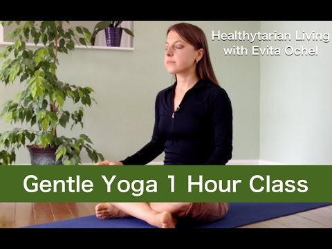 Gentle Relaxation Hatha-Vinyasa 1 Hour Yoga Class (All Levels)