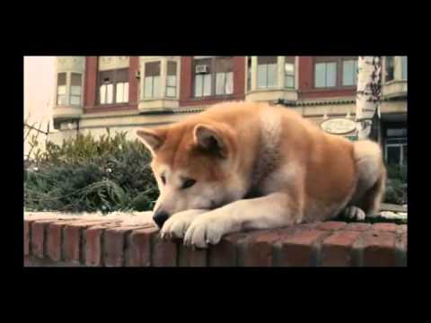 Hachiko A Dog's Story Music Video From Movie