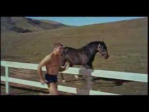 The Swimmer (1968) - Theatrical Trailer