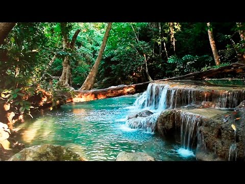 Rainforest Sounds - Water Sound Nature Meditation