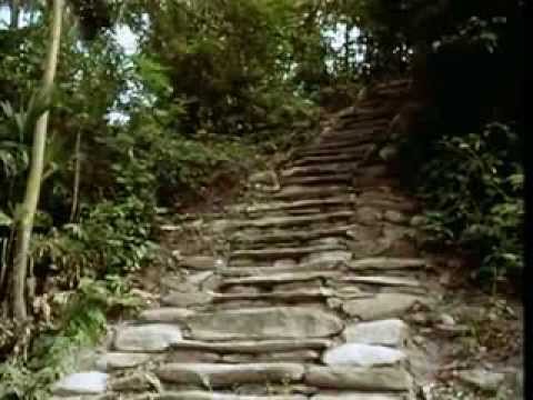 La Ciudad Perdida (The Lost City) | From the Heart of the World - The Elder Brother's Warning