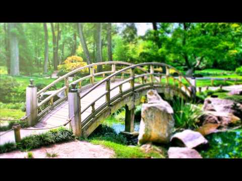 Relaxing Reiki Healing Music. Meditation Calming Music for Balance and Concentration, Relax, Yoga