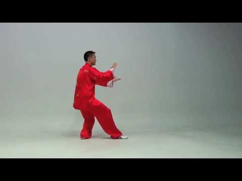 The Kung Fu Tai Chi Day Simplified 24 Routine.