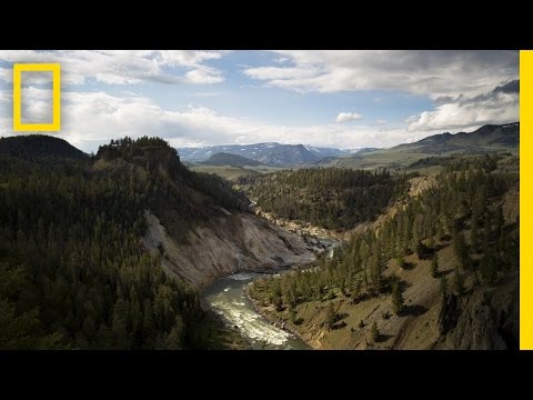 The Best of Yellowstone | America's National Parks