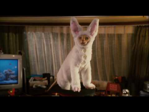 Cats and Dogs: The Revenge of Kitty Galore (Pelicula) Trailer Español
