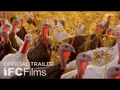 Eating Animals - Official Trailer | HD | Sundance Selects
