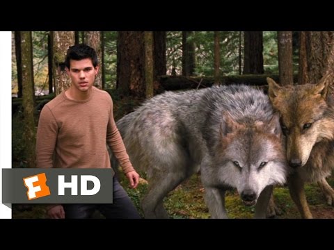 Twilight: Breaking Dawn Part 2 (3/10) Movie CLIP - A Wolf Thing (2012) HD