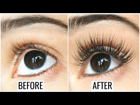 How to Grow Long, Thick, Strong Eyelashes & Eyebrows | Anaysa