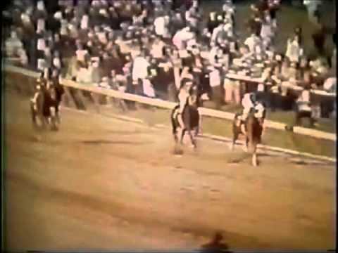 "SECRETARIAT" Greatest Race Horse of All Time - Kentucky Derby Preakness Belmont Stakes 1973 Video