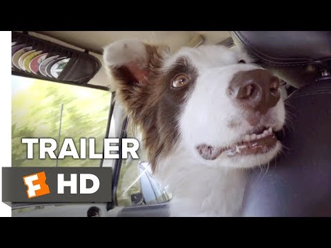 The Stray Trailer #1 (2017) | Movieclips Indie