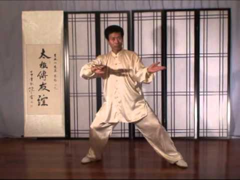 Jesse Tsao Tai Chi Fajin  Practice - Power Striking