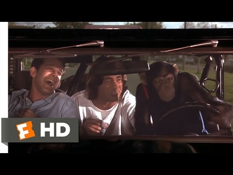 Grandma's Boy (5/5) Movie CLIP - Drive, Monkey, Drive (2006) HD
