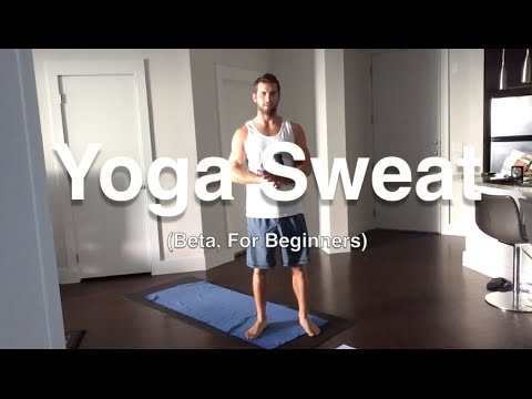Yoga Flow For Weight Loss - For Beginners  (25 Minute Power Yoga Basics)