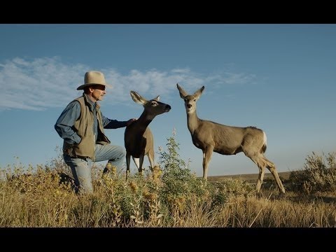 Touching The Wild (Full Documentary)