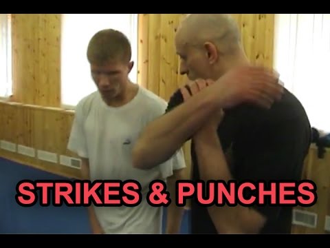 RUSSIAN SYSTEMA SPETSNAZ STRIKES AND PUNCHES - Russian Hand to Hand Combat