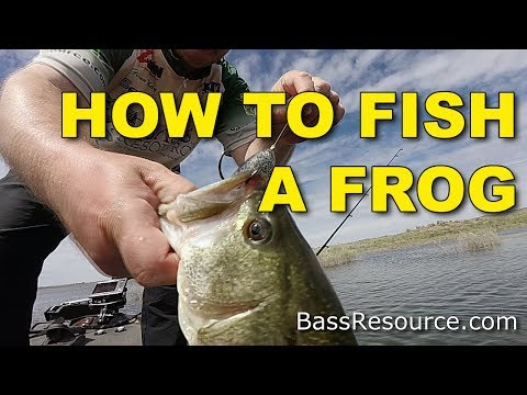 How To Fish A Frog For Big Fish (The Best Ways) | Bass Fishing
