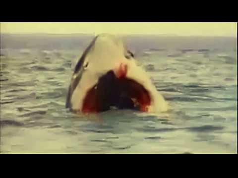 The Last Shark (1981)-Shark Attack (Uncut Version)