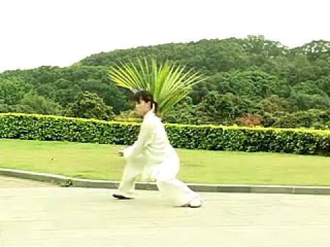 Chen style Tai Chi 56 form Competiton routine tutorial