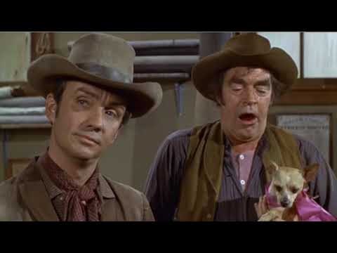 Yellow Dog Scene From Support Your Local Gunfighter with James Garner & Jack Elam