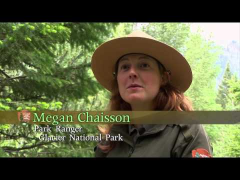 National Parks Exploration Series: Glacier Park - Crown of the Continent - Trailer