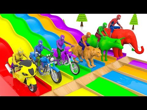 Learn Colors with Spiderman Rides Street Vehicles and Animals Crossover Water Slide for Kids