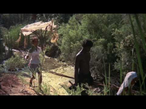 WALKABOUT Trailer (1971) - The Criterion Collection
