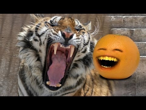 Annoying Orange - Through Time #4