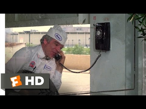 The Jerk (4/10) Movie CLIP - Navin Calls the Cops (1979) HD